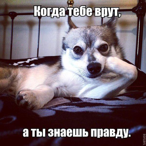   - 24  2015  17:01