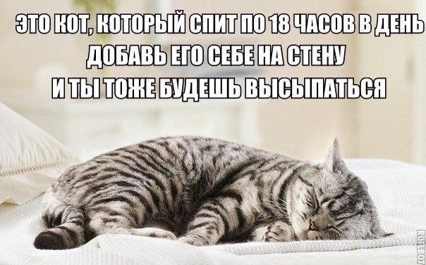    :D - 18  2015  14:01