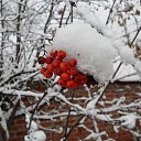 ������ ���� (2011) �� ������� �� ������ ���������