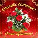 ���� ����, ������ - ��������� 15 ���� 2015 � ������ �������� ��������