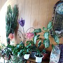 ���� ���������, �����, 85 ��� - ��������� 22 ��� 2015 � ������ ������ ��������