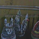 ���� ������, ������, 44 ���� - ��������� 27 ������� 2015 � ������ ���� ����������