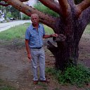 ���� Alexandr, ������, 75 ��� - ��������� 20 ���� 2015 � ������ ��������