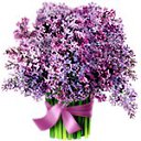 ���� ��������.������,��������� �� ���� �����������., ����� - ��������� 18 ���� 2015 � ������ �PODARKI�