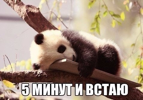    :-) - 2  2015  06:40