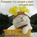 ���� �����, ������������ - ��������� 6 ���� 2015 � ������ ������ ��������