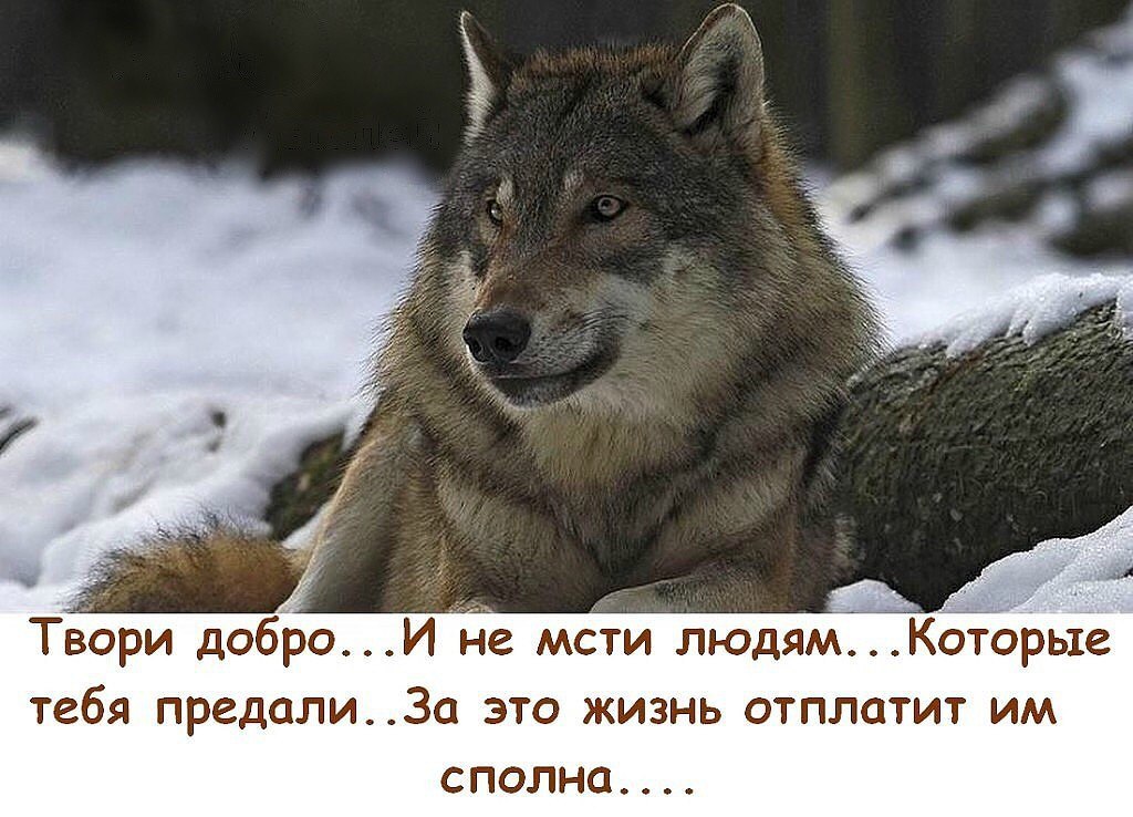   - 2  2015  01:26