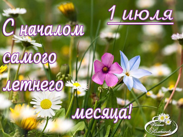  - 1  2015  06:07