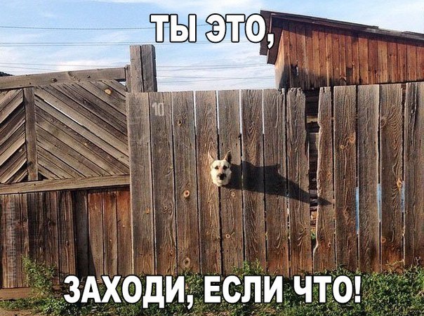    :-) - 5  2015  10:40