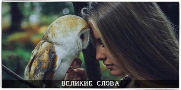 И маленькая победа над собой делает человека намного сильней. © Максим Горький