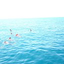 ���� �������, ������������ - ��������� 13 ������� 2015 � ������ ���� ����������