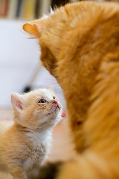  :3