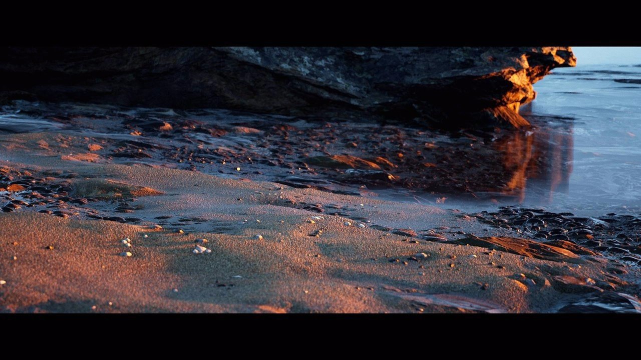   ,    ,       Unreal Engine 4. - 7