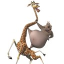 ���� ������� ����, ������, 55 ��� - ��������� 25 ���� 2015 � ������ ���� ����������