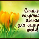 ���� �����, ������ �������� - ��������� 3 �������� 2015 � ������ �������� ��������