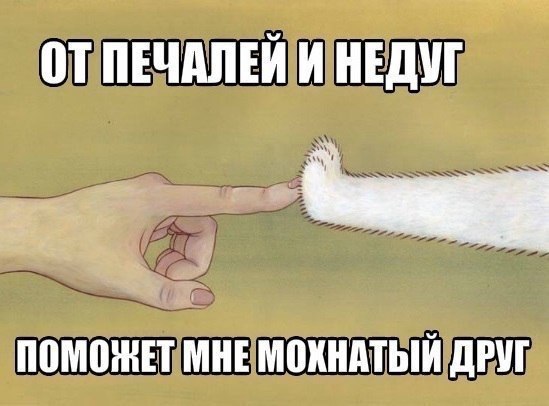  -  - 29  2015  18:24