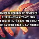 ���� ���������, ����-���� - ��������� 3 �������� 2015 � ������ ������ ��������