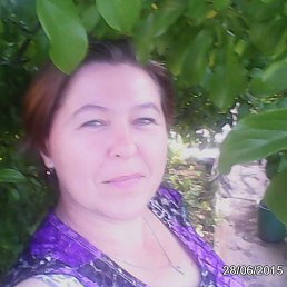 ���� �������, �������, 54 ���� - ��������� 28 ���� 2015