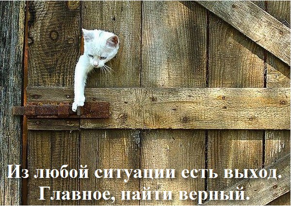  - 14  2015  22:55