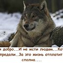 ���� ������, ��������������, 54 ���� - ��������� 21 ������� 2015 � ������ ������ ��������