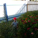 ���� ������, �����������, 61 ��� - ��������� 11 ���� 2015 � ������ ���� ����������