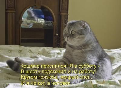       - 3  2015  12:48