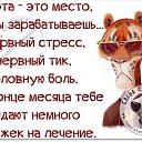  ******, , 53  -  17  2015   