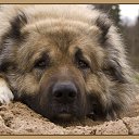  Irishka))),  -  15  2015     ))))