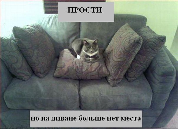       - 3  2015  23:13