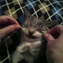  , -, 70  -  27  2015    