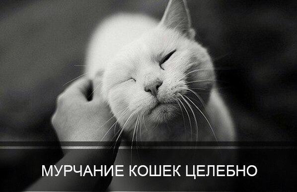       - 7  2015  09:01