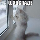 ���� Alex, �����, 46 ��� - ��������� 12 ���� 2015 � ������ ������ ��������