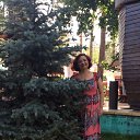 ���� ������, ��������, 53 ���� - ��������� 8 ���� 2015 � ������ ���� ����������