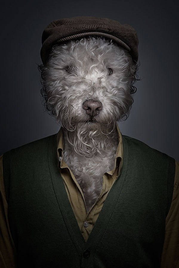   .      (Sebastian Magnani)   ... - 4