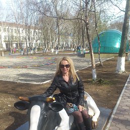 ���� ������, �������������-����������, 56 ��� - ��������� 10 ���� 2015