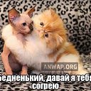  ,  -  1  2015   ...  )))