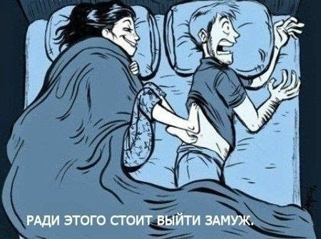   |  |  - 11  2015  06:30