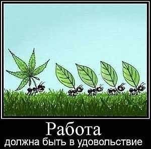   - 9  2015  14:01
