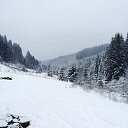 ���� ������, �����-��������� - ��������� 16 ��� 2015 � ������ ����� (���� vs ����)�