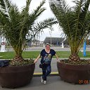  , --, 54  -  16  2015    