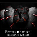 ���� ����, ������, 46 ��� - ��������� 4 ������� 2015 � ������ ������ ��������