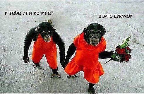 — Пойдем ко мне домой! — Я так не могу, у нас с тобой даже общих знакомых нет! — Путина знаешь? — ...