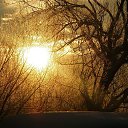 ���� ��������, ������, 48 ��� - ��������� 15 ��� 2015 � ������ ���� ���������..))�