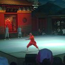  Kookarra, , 26  -  6  2015    