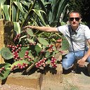 ���� �������, �������, 41 ��� - ��������� 3 �������� 2015 � ������ ���� ����������