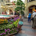 ���� ���������, �����, 46 ��� - ��������� 4 ������� 2015 � ������ ���� ����������