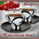 ���� �������, ����� - ��������� 19 ��� 2015 � ������ �������� ��������