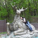  Elena, , 53  -  16  2015    