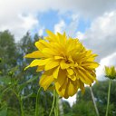 ���� ��������, ������, 48 ��� - ��������� 15 ��� 2015 � ������ ���� ���������..))�