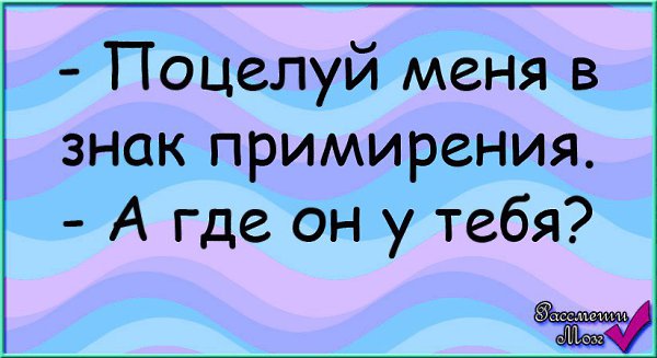  - 8  2015  10:37